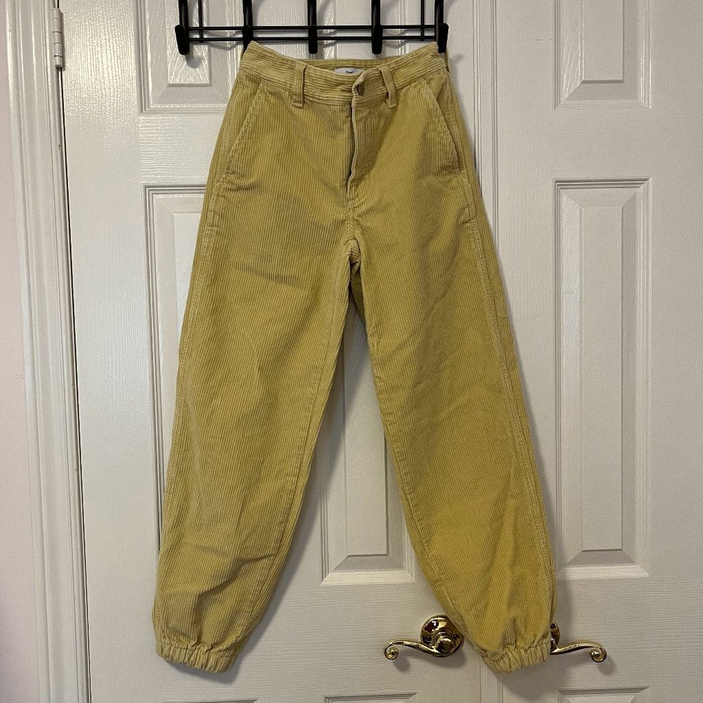 Aritzia TNA Corduoroy Pants (Size 00)